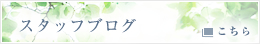 スタッフブログ