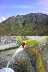 その他のおすすめコース