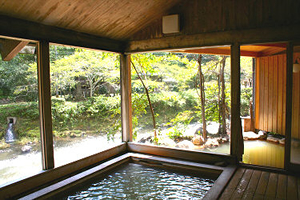 大丸旅館　「テイの湯」