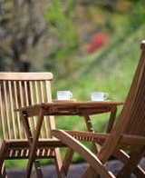 お食事について